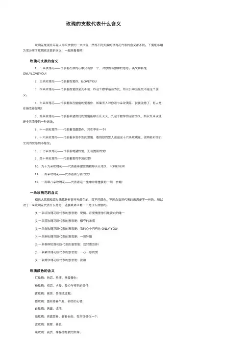 玫瑰的支数代表什么含义