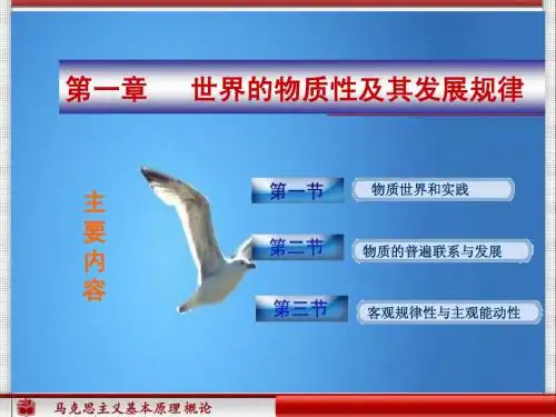 马原复习课件(第一章1)
