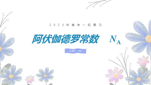 高中化学阿伏伽德罗常数课件