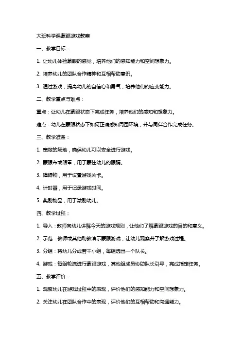 大班科学课蒙眼游戏教案