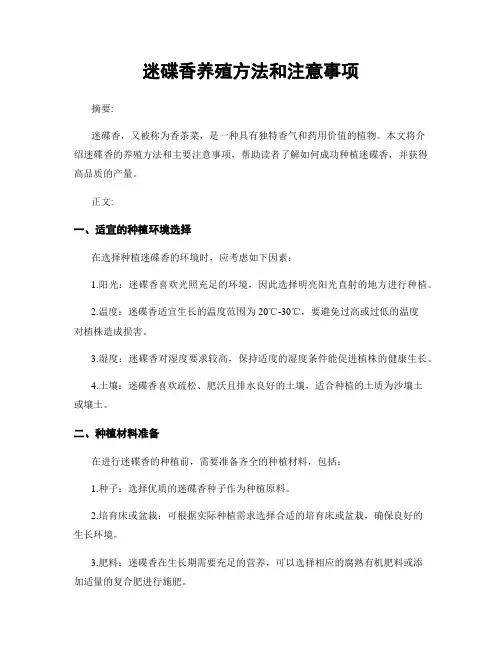 迷碟香养殖方法和注意事项