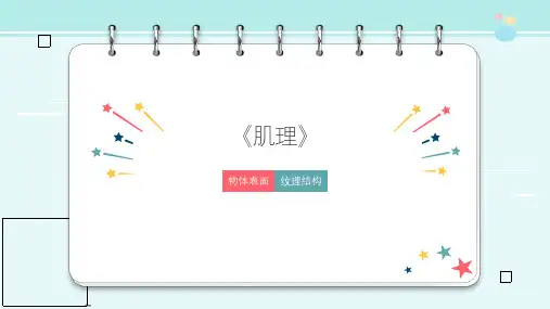 作品鉴赏肌理-完整版PPT课件