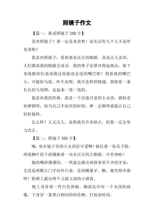 照镜子作文