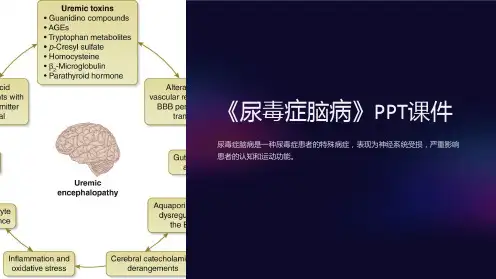 《尿毒症脑病》课件