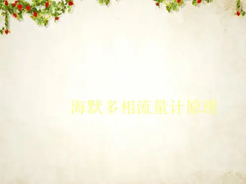 海默多相流量计原理分析(ppt 49页)