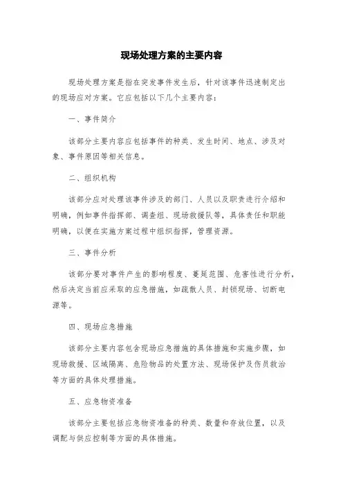 现场处理方案的主要内容