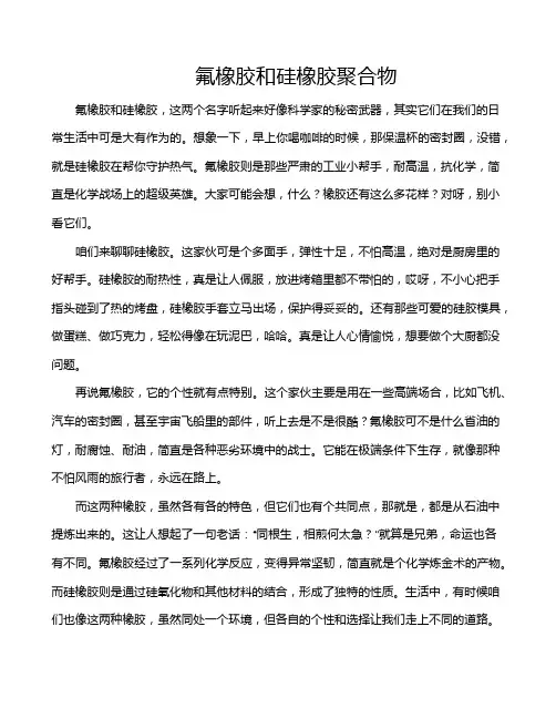氟橡胶和硅橡胶聚合物