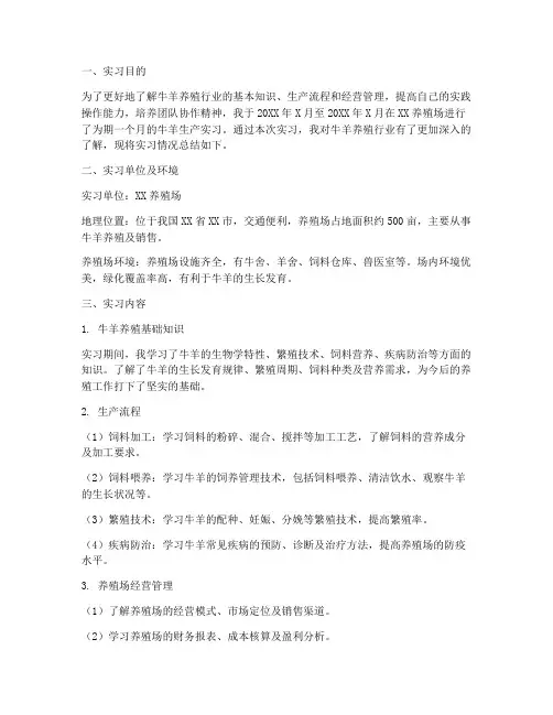 牛羊生产实习报告书