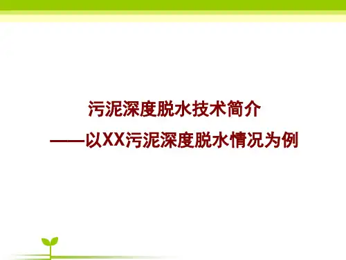 污泥深度脱水技术简介