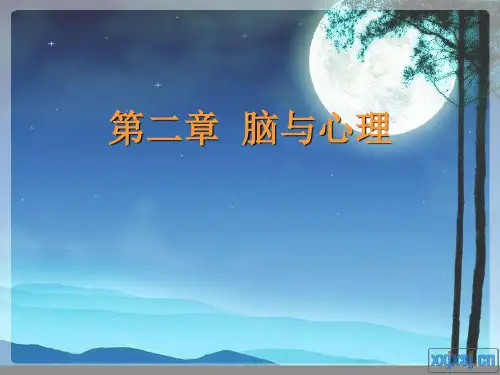 第二章 脑与心理