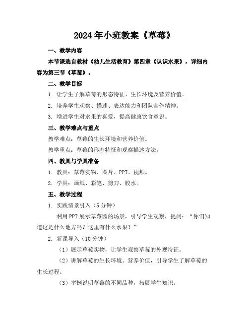 2024年小班教案《草莓》