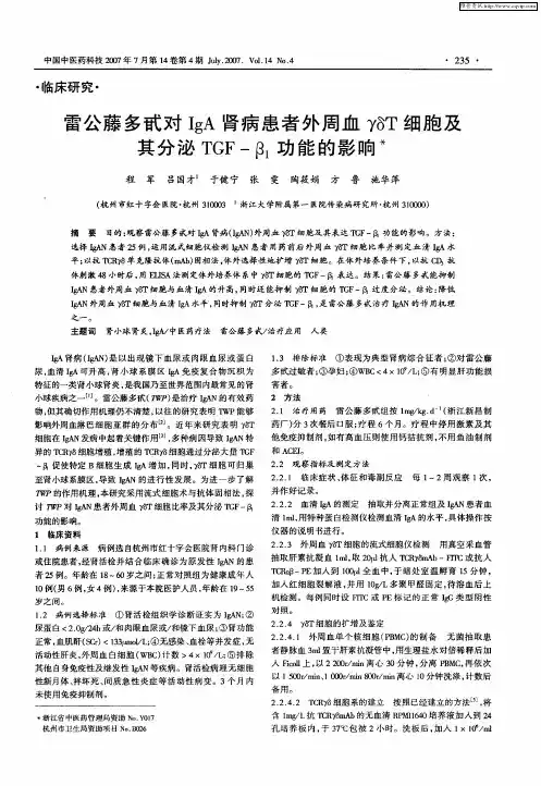 雷公藤多甙对IgA肾病患者外周血γδT细胞及其分泌TGF-β1功能的影响