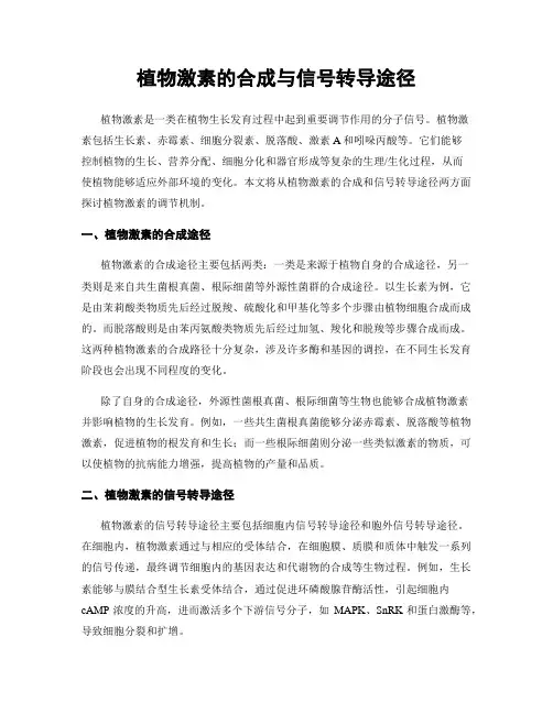 植物激素的合成与信号转导途径