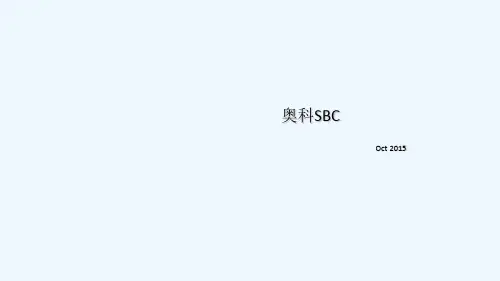 奥科SBC介绍 PPT