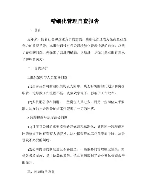 精细化管理自查报告