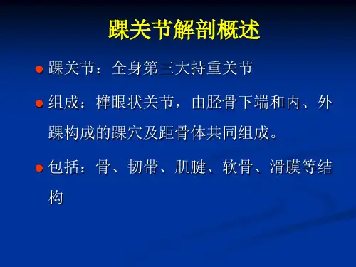 踝关节影像诊断 ppt课件