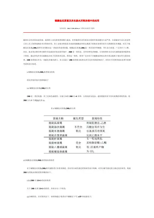 硫酸盐还原菌及其在废水厌氧治理中的应用
