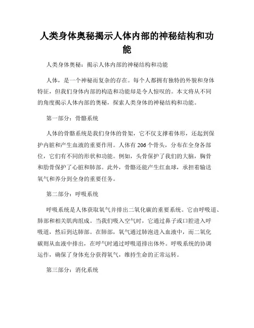 人类身体奥秘揭示人体内部的神秘结构和功能