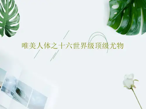 唯美人体之十六世界级顶级尤物共33页文档
