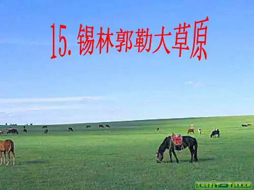 15.锡林郭勒大草原