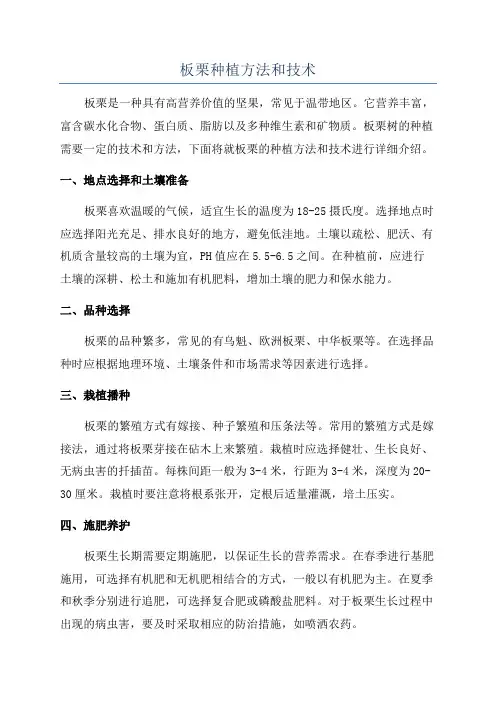 板栗种植方法和技术
