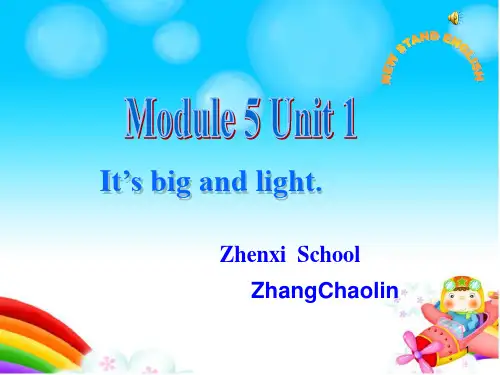 英语外研新标准(三起)五年级下册- module 5 Unit 1 课件