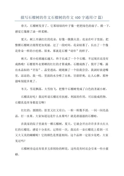 描写石榴树的作文石榴树的作文400字通用(7篇)