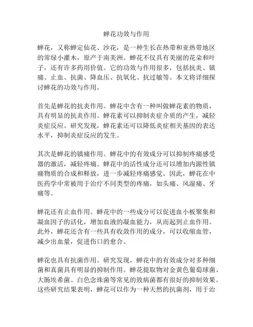 蝉花功效与作用