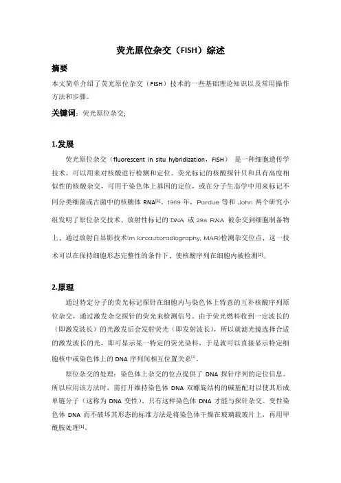荧光原位杂交 综述