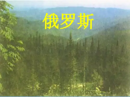 高中区域地理俄罗斯ppt课件