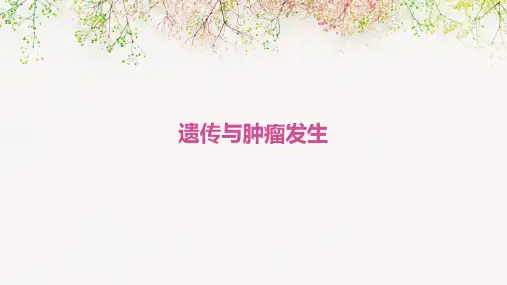 遗传与肿瘤发生ppt课件