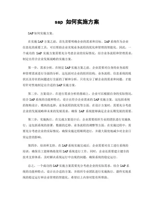 sap 如何实施方案