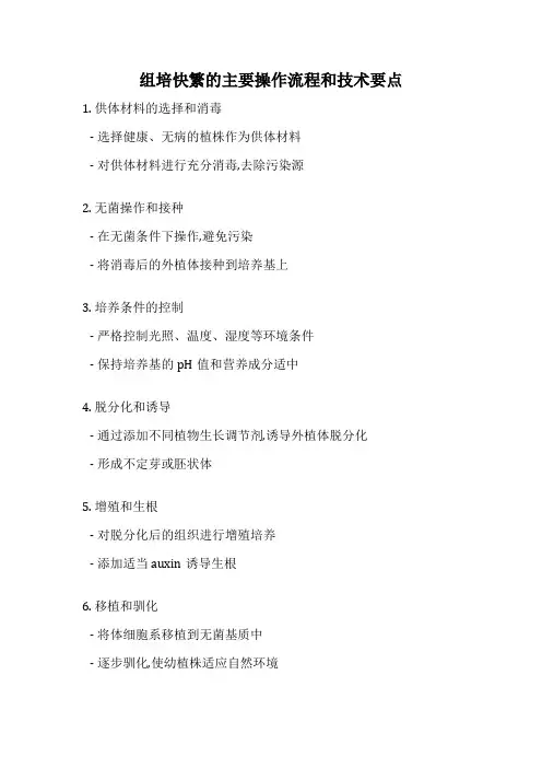 组培快繁的主要操作流程和技术要点