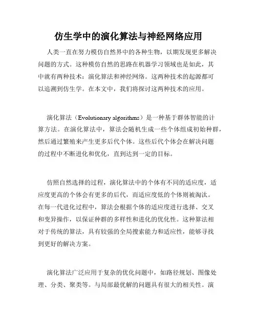 仿生学中的演化算法与神经网络应用