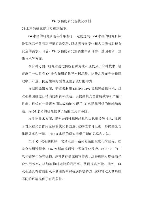 c4 水稻的研究现状及机制