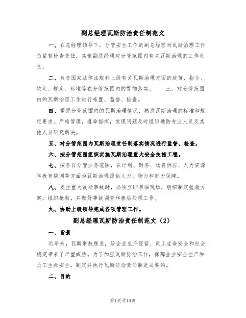 副总经理瓦斯防治责任制范文（5篇）