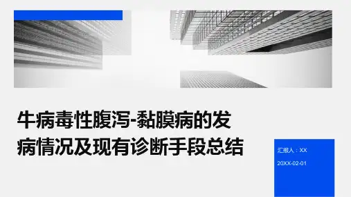 牛病毒性腹泻-黏膜病的发病情况及现有诊断手段总结