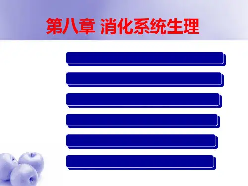 消化系统生理