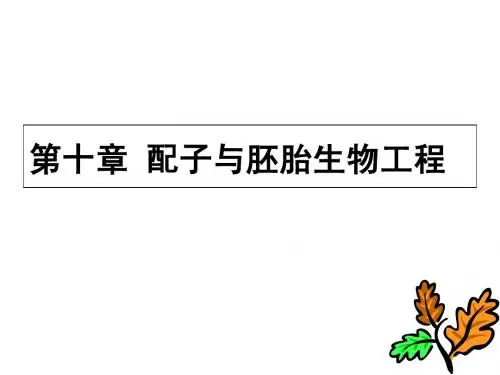 动物繁殖学