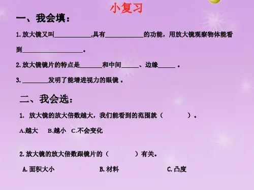 六年级科学下册课件-2 放大镜下的昆虫世界 - 教科版(共16张PPT)