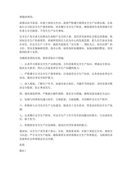五年内无安全事故承诺书