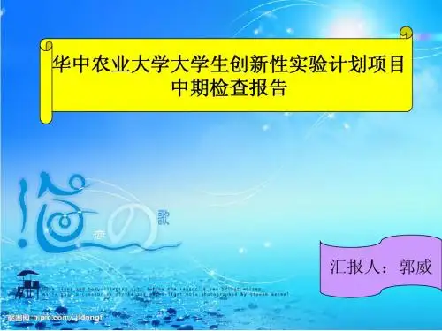 SRF中期报告