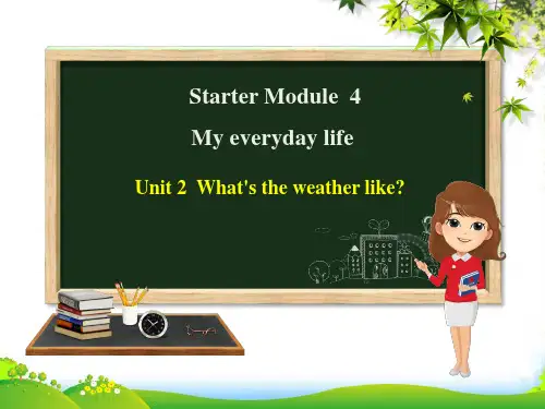 七年级外研版英语上册课件：Starter Module 4 Unit 2 What's the we