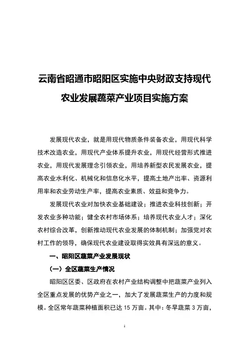 云南省昭通市昭阳区实施中央财政支持现代农业发展蔬菜产业项目实施方案