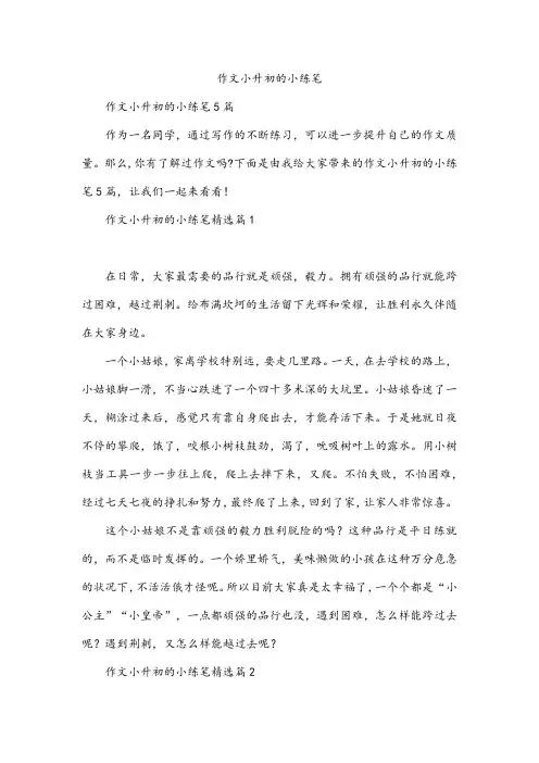 作文小升初的小练笔