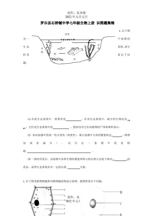 七年级生物上册识图题集锦试题