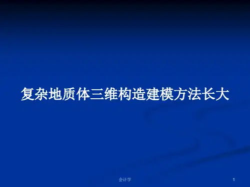 复杂地质体三维构造建模方法长大PPT教案