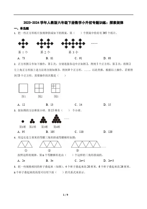 2023-2024学年人教版六年级下册数学小升初专题训练：探索规律(含答案)