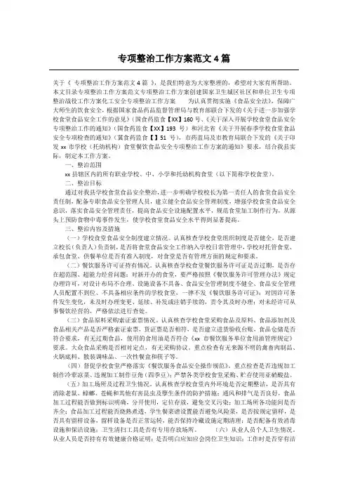 专项整治工作方案范文4篇