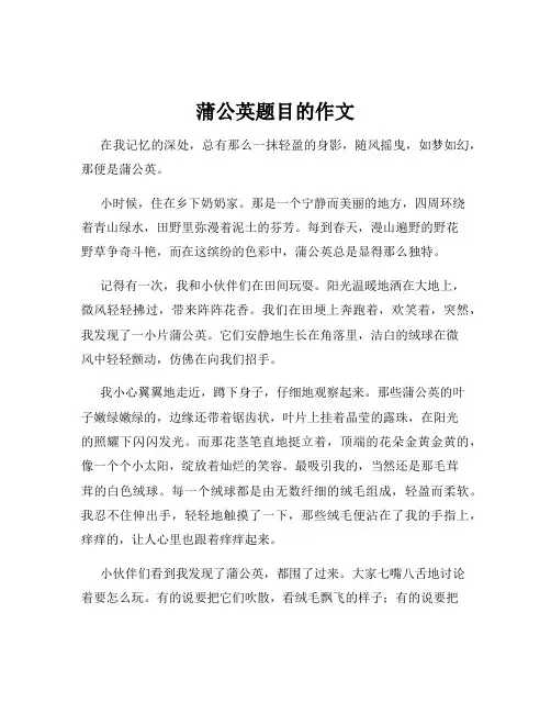 蒲公英题目的作文